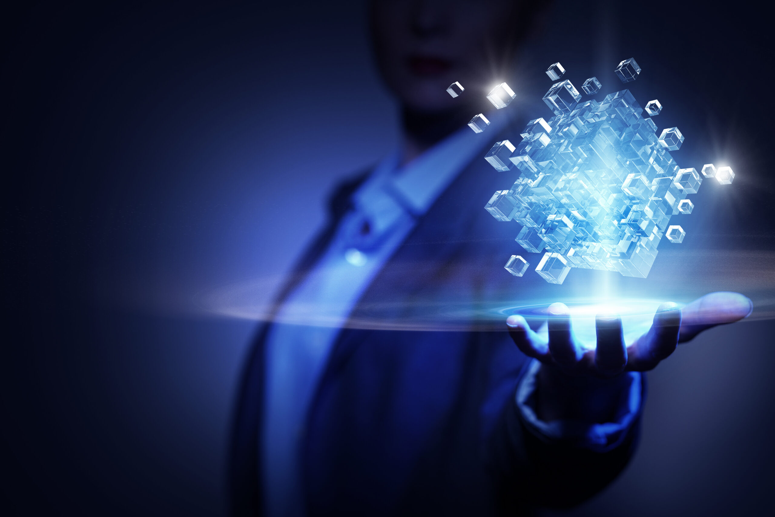 Integrated Solutions Fulton Street Software